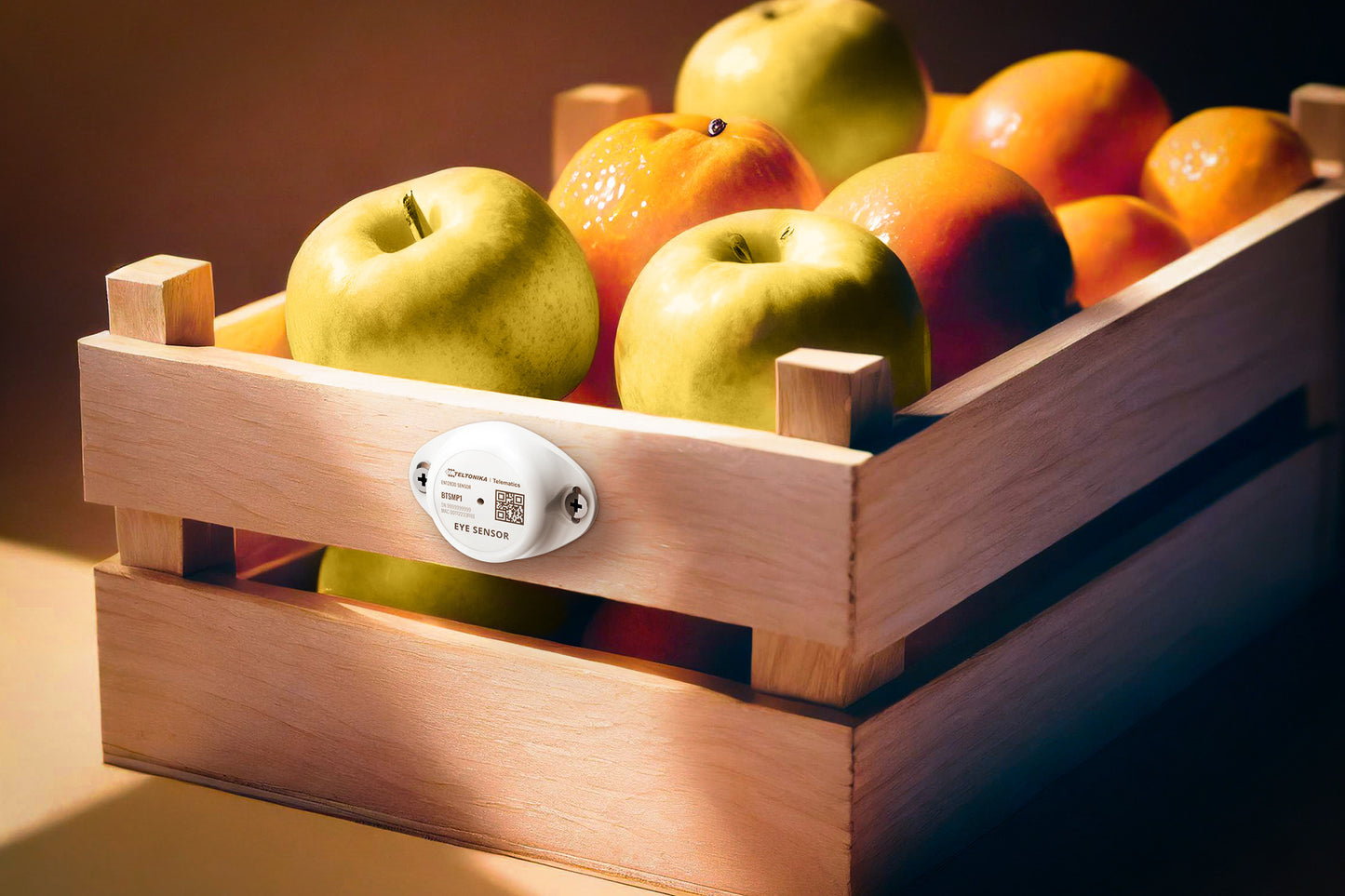 BTSMP1-KK, EN12830-Zertifikat für Kühlkettenlösungen, EYE, Bluetooth®-Sensor, Temperatur, Luftfeuchtigkeit, Bewegung und Magnetstatus Bluetooth®-Temperatursensor