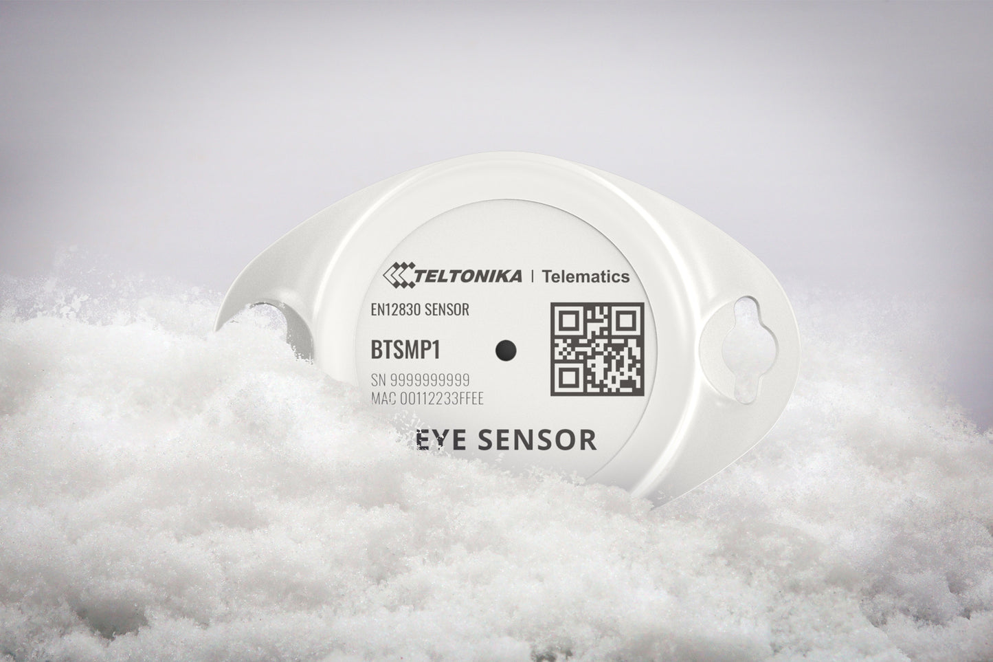 BTSMP1-KK, EN12830-Zertifikat für Kühlkettenlösungen, EYE, Bluetooth®-Sensor, Temperatur, Luftfeuchtigkeit, Bewegung und Magnetstatus Bluetooth®-Temperatursensor